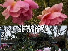 -上海植物园-4号门售票处