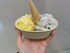 -极拉图·现制冰淇淋(大卫城店)