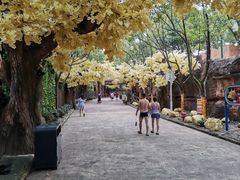 -横店影视城梦幻谷园区