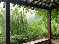 -重庆彩云湖湿地公园