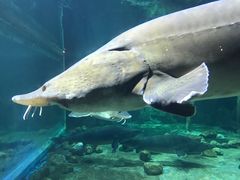 -华夏文旅海洋公园