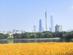 -海珠湖公园