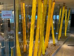 -上海滴水湖皇冠假日酒店