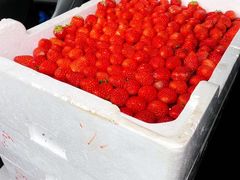 -西郊国际农产品交易中心