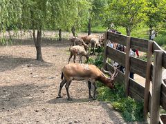 -溱湖国家湿地公园