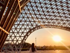 -南汇嘴观海公园