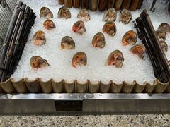 -初色海鲜自助(万丰路店)