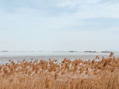 -上海吴淞炮台湾国家湿地公园