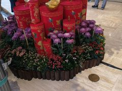 -新加坡瑞士史丹福酒店