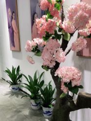 -盘子女人坊生日照·摄影馆(华强店)