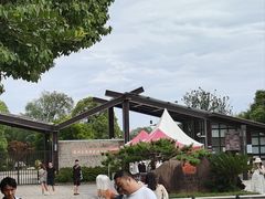 -苏州太湖国家湿地公园