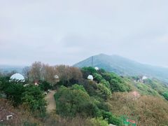-紫金山天文台