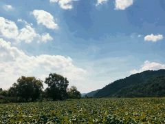 -大鄣山卧龙谷景区