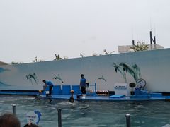 -秦皇岛新澳海底世界