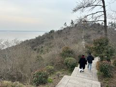 -巢湖姥山岛