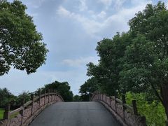 -瑶湖郊野森林公园