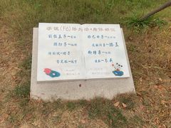 -微山湖红荷湿地景区