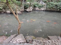 -灵隐飞来峰景区
