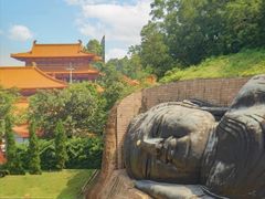 -三水森林公园