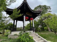 -鹅湖玫瑰文化园