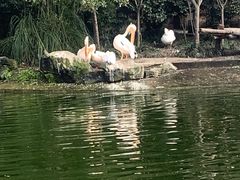 -成都动物园