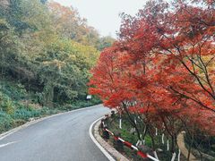 -南京市江宁方山