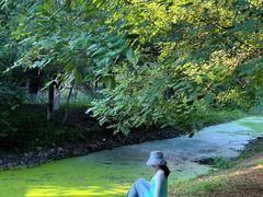 -长白岛森林公园