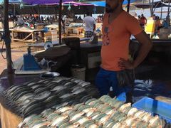 -尼甘布海鲜市场