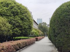 -四川大学(华西校区)