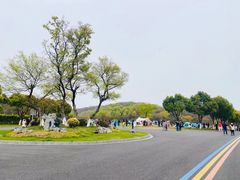 -羊山湖公园