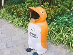 -芽庄珍珠岛游乐园