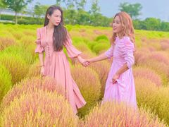 -映月湖中央公园