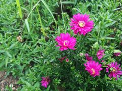 -羊亭河湿地公园