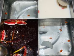 -海底捞火锅(金地广场生日主题店)