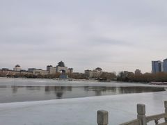 -莲花池公园