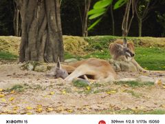 -泉州海丝野生动物世界