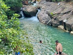 -广州白江湖森林公园