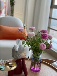 -JNK皮肤管理中心