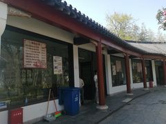 -南汇桃花村