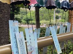 -南普陀寺