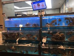 水产区-盒马鲜生(宝地店)