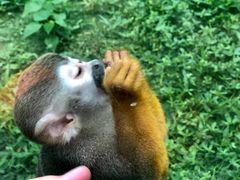 -上方山森林动物世界