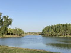 -贡湖湾湿地公园