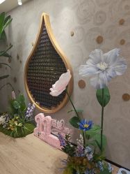 -dōTERRA多特瑞精油生活馆