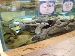 iphone_upload_pic-旺顺阁海鲜广场(亚运村店)