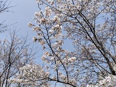 -西北湖绿化广场