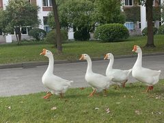 -中国计量大学(西校区)