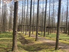 -黄海国家森林公园