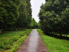 -南湖湿地公园