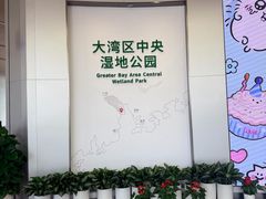 -大湾区中央湿地公园